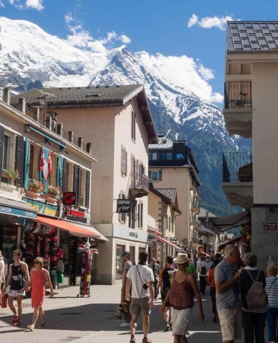 Super Appartement Cocooning Vu Mont Blanc سالونش المظهر الخارجي الصورة