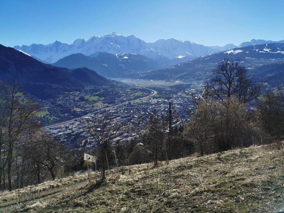 Super Appartement Cocooning Vu Mont Blanc سالونش المظهر الخارجي الصورة