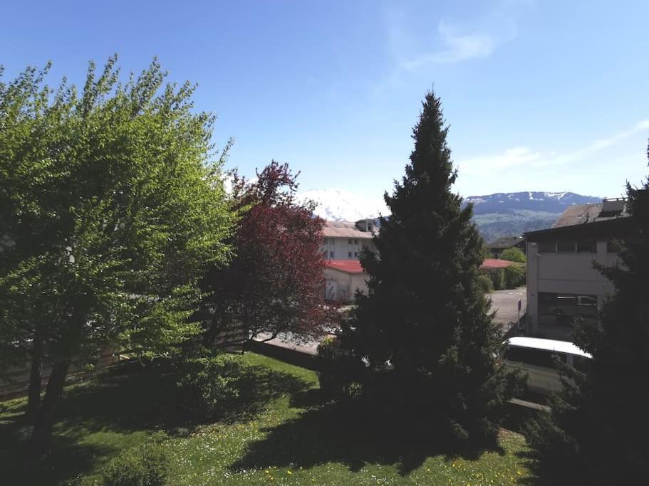 Super Appartement Cocooning Vu Mont Blanc سالونش المظهر الخارجي الصورة