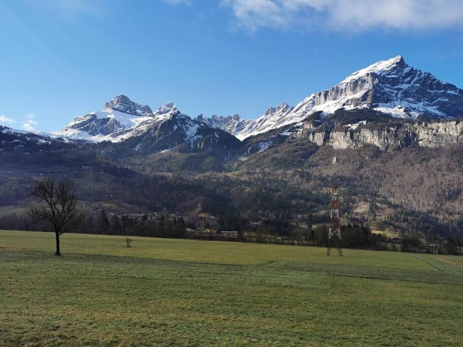 Super Appartement Cocooning Vu Mont Blanc سالونش المظهر الخارجي الصورة