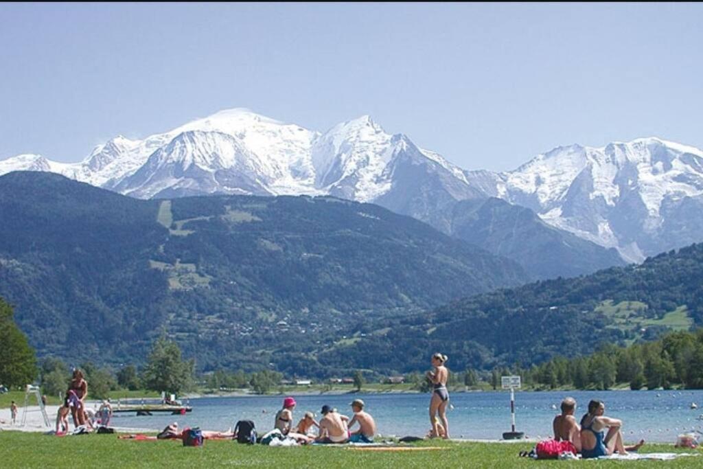Super Appartement Cocooning Vu Mont Blanc سالونش المظهر الخارجي الصورة