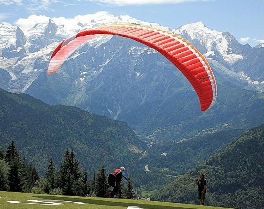 Super Appartement Cocooning Vu Mont Blanc سالونش المظهر الخارجي الصورة